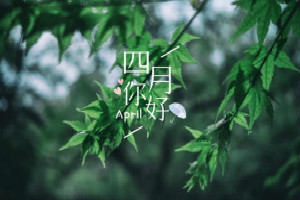 淘寶4月有什么活動